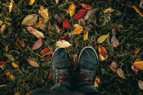 person wearing black lace up sneakers standing on green grass with fallen leaves
